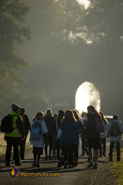 Nom de l'image : D30082908_1 — Description :