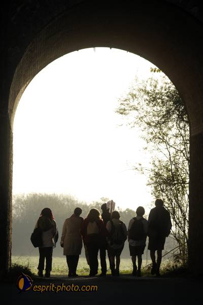 Nom de l'image : D30082931_1 — Description :