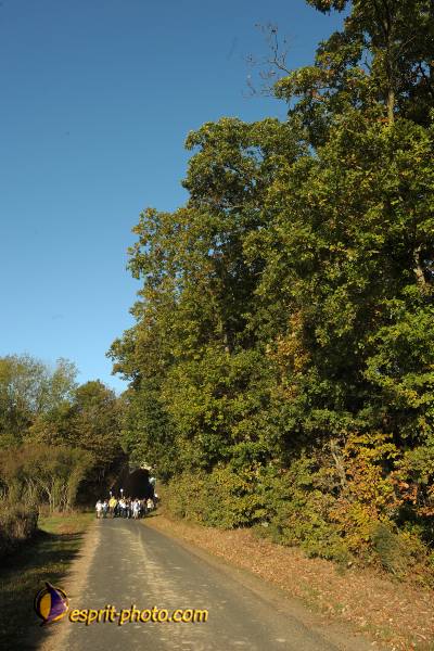 Nom de l'image : D30082946_1 — Description :