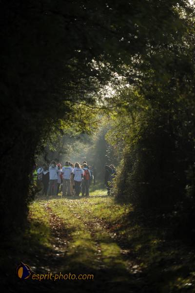 Nom de l'image : D30082980_1 — Description :