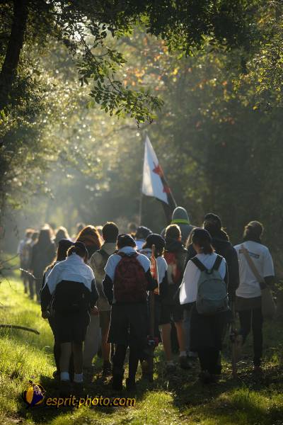 Nom de l'image : D30082998_1 — Description :