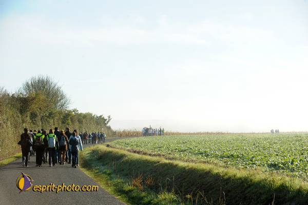 Nom de l'image : D30083024_1 — Description :