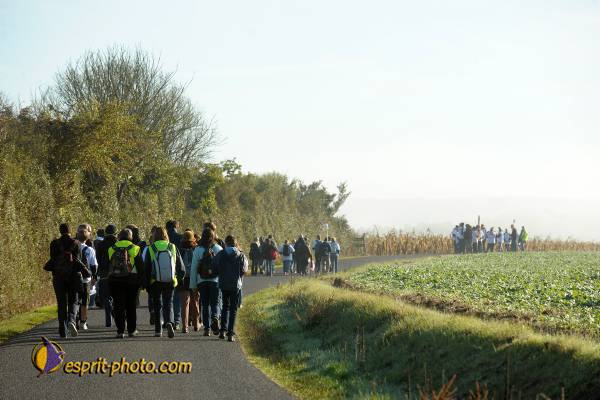 Nom de l'image : D30083025_1 — Description :