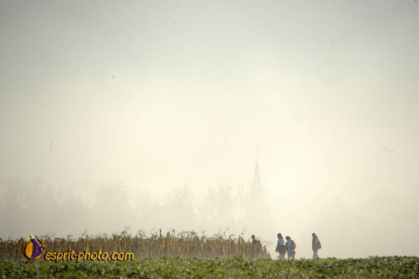 Nom de l'image : D30083027_1 — Description :