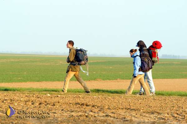 Nom de l'image : D1022476-01b — Description :  Pèlerinage des étudiants à Notre Dame de Chartres - 22+23 mars 2