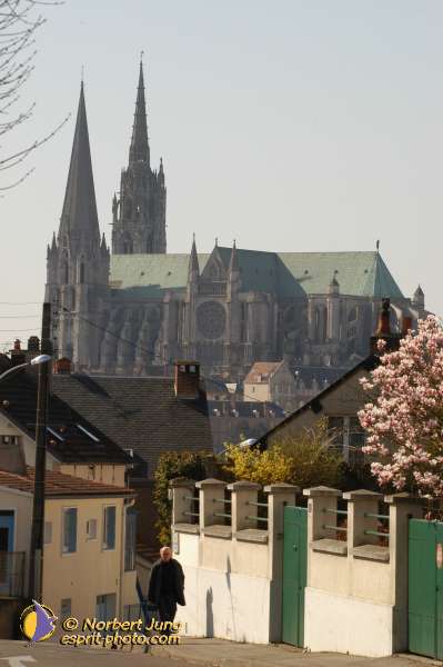 Nom de l'image : D1023088-01 — Description :  Pèlerinage des étudiants à Notre Dame de Chartres - 22+23 mars 2
