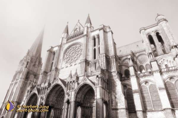 Nom de l'image : D1107493-nef-01sep — Description :