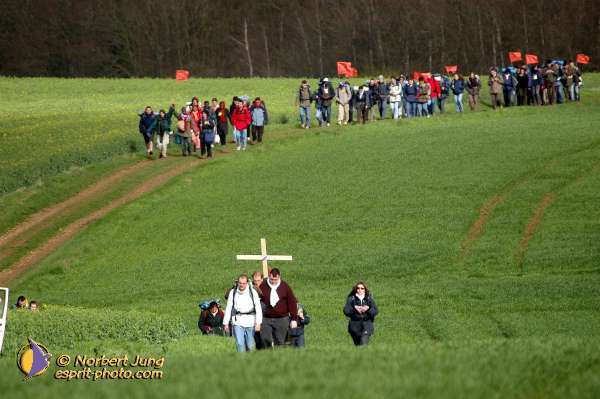 Nom de l'image : D1120099-01 — Description :