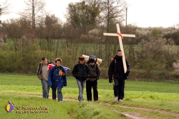 Nom de l'image : D1120171-01 — Description :