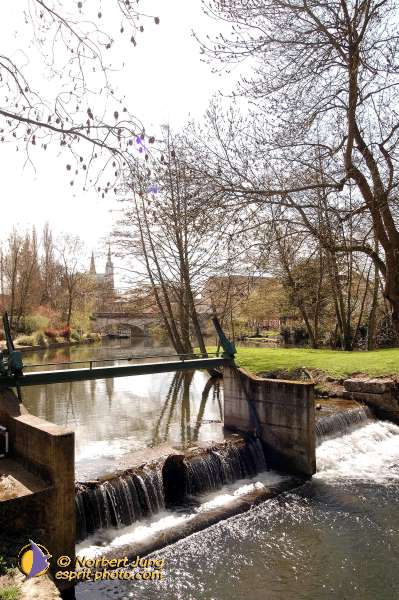 Nom de l'image : D1120537-nef-01 — Description :