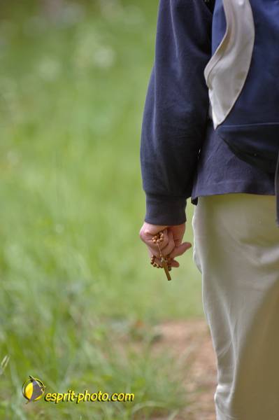 Nom de l'image : D2167150_1 — Description :