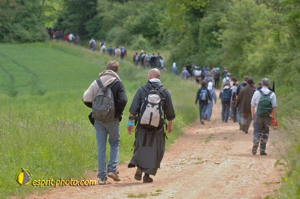 Nom de l'image : D2167196_1 — Description :