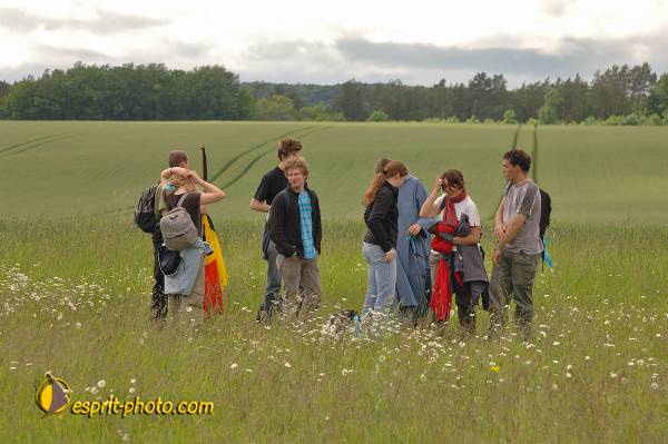 Nom de l'image : D2167253_1 — Description :