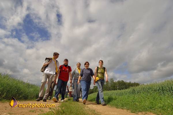 Nom de l'image : D2167349_1 — Description :