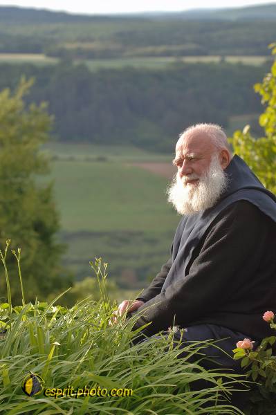 Nom de l'image : D2167555_1 — Description :