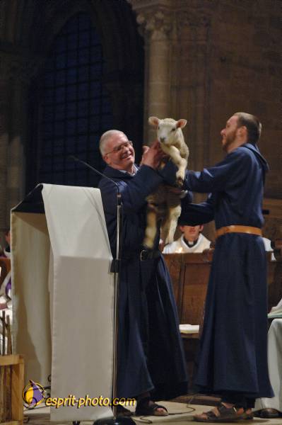 Nom de l'image : D2167854_1 — Description :