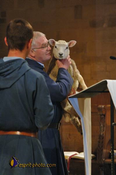 Nom de l'image : D2167871_1 — Description :