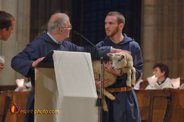 Nom de l'image : D2167899_1 — Description :