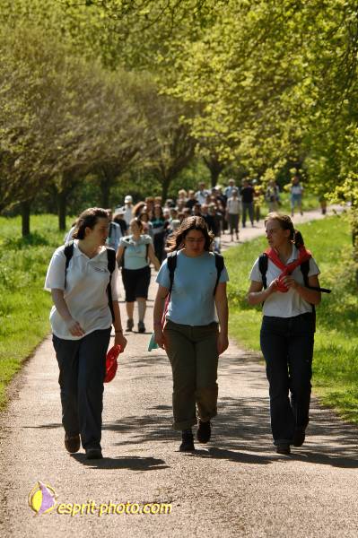 Nom de l'image : E2068431_1 — Description :  Routes de Vezelay 2008
