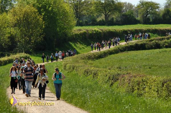 Nom de l'image : E2068491_1 — Description :  Routes de Vezelay 2008