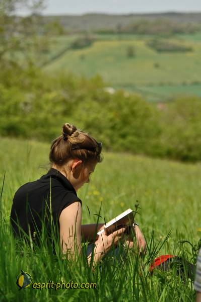 Nom de l'image : E2068647_1 — Description :  Routes de Vezelay 2008