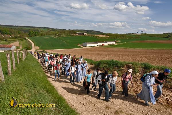 Nom de l'image : E2068780_1 — Description :  Routes de Vezelay 2008