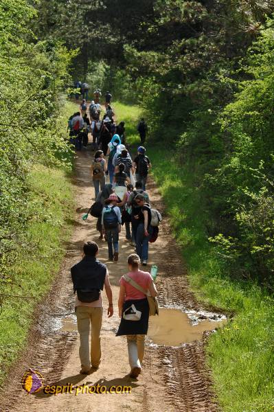 Nom de l'image : E2068789_1 — Description :  Routes de Vezelay 2008