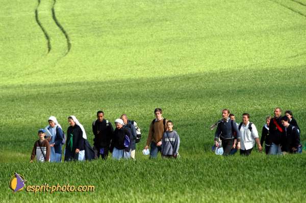 Nom de l'image : D1138349-01 — Description :