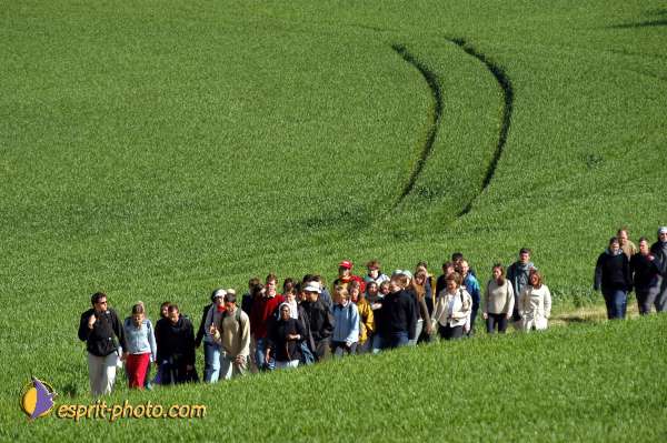 Nom de l'image : D1138386-01 — Description :