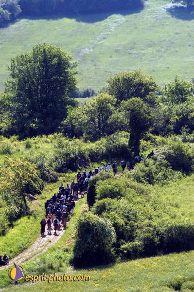 Nom de l'image : D1138575-01 — Description :