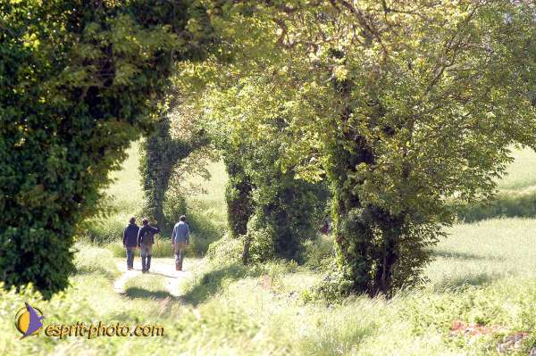 Nom de l'image : D1138605-01 — Description :