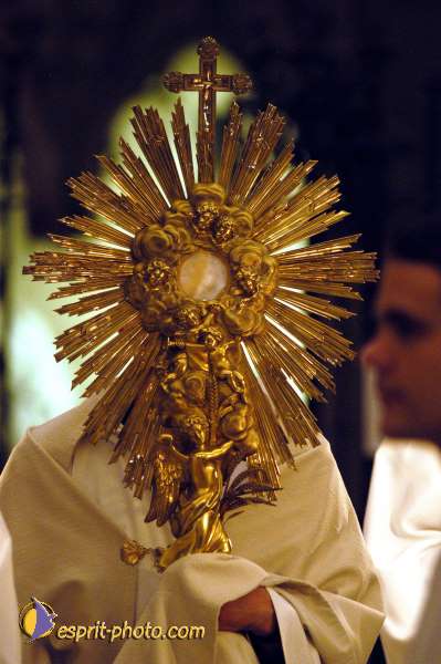 Nom de l'image : D1137021-01 — Description :