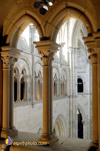 Nom de l'image : D1138761-01 — Description :