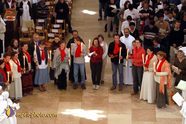 Nom de l'image : D1139152-01 — Description :