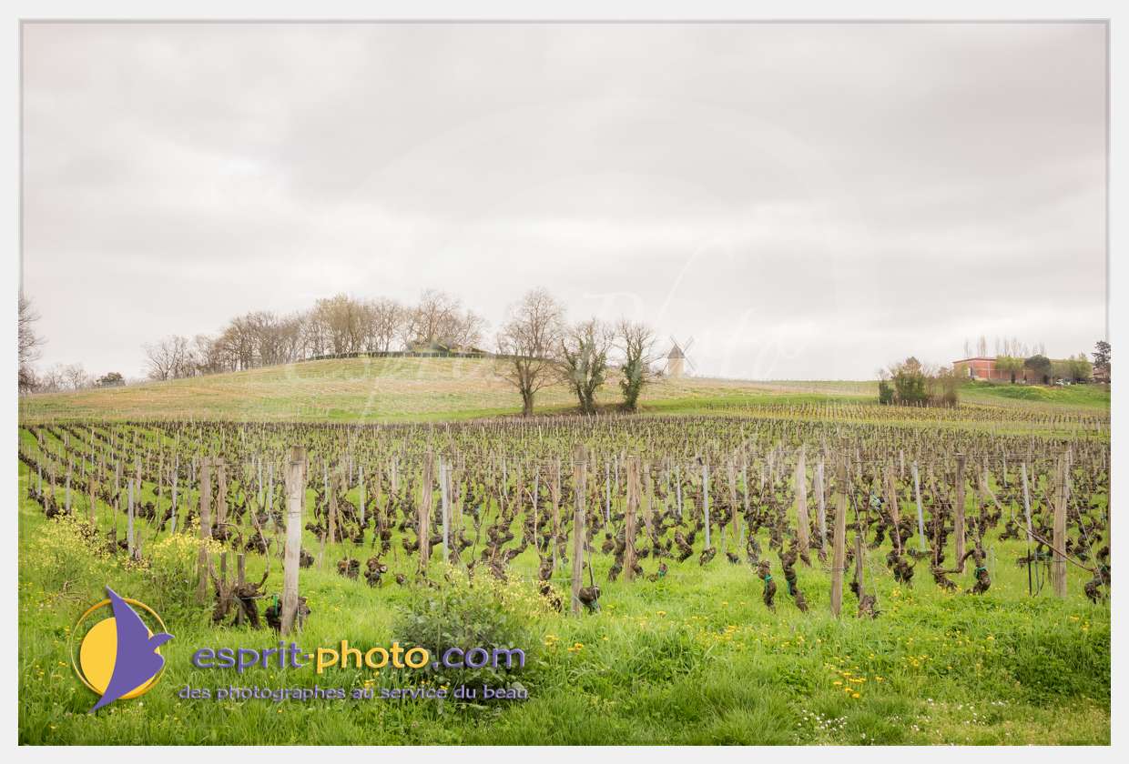 Nom de l'image : S1015644_(c)esprit-photo.com — Description :