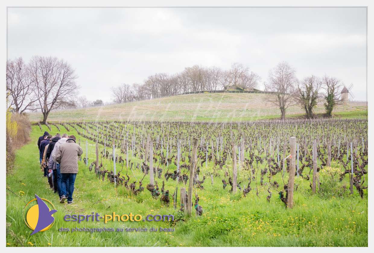 Nom de l'image : S1015652_(c)esprit-photo.com — Description :