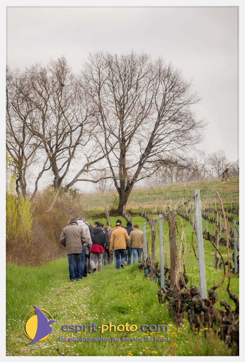 Nom de l'image : S1015660_(c)esprit-photo.com — Description :