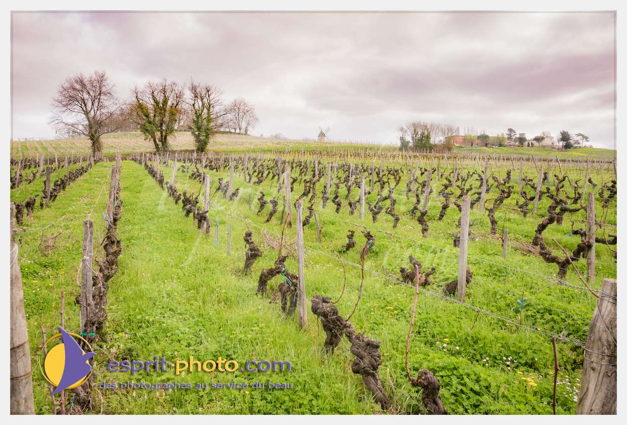 Nom de l'image : S1015666_(c)esprit-photo.com — Description :