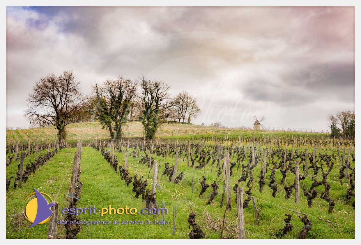 Nom de l'image : S1015668_(c)esprit-photo.com — Description :