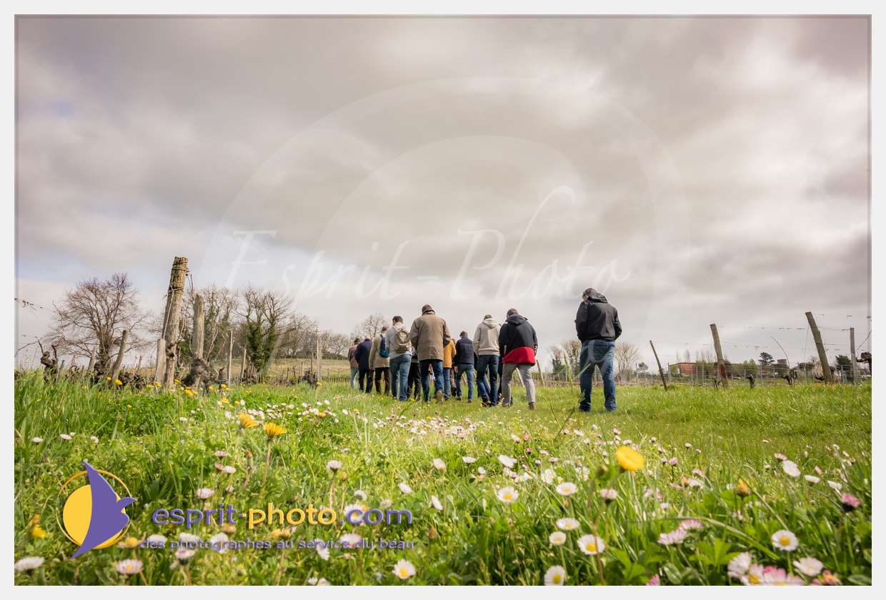 Nom de l'image : S1015675_(c)esprit-photo.com — Description :