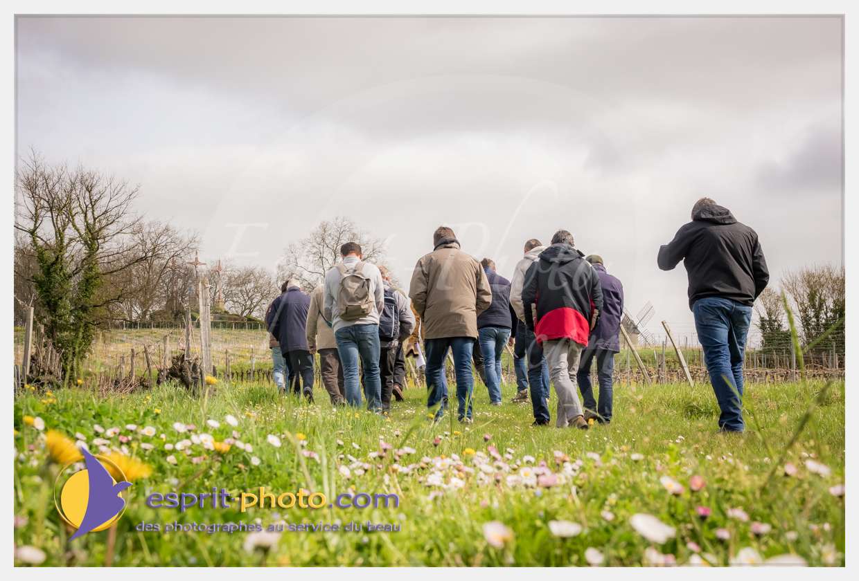 Nom de l'image : S1015677_(c)esprit-photo.com — Description :