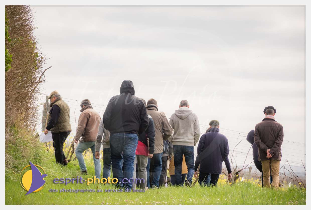 Nom de l'image : S1015691_(c)esprit-photo.com — Description :