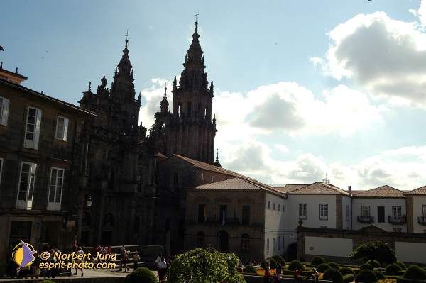 Nom de l'image : D1156485-01 — Description :