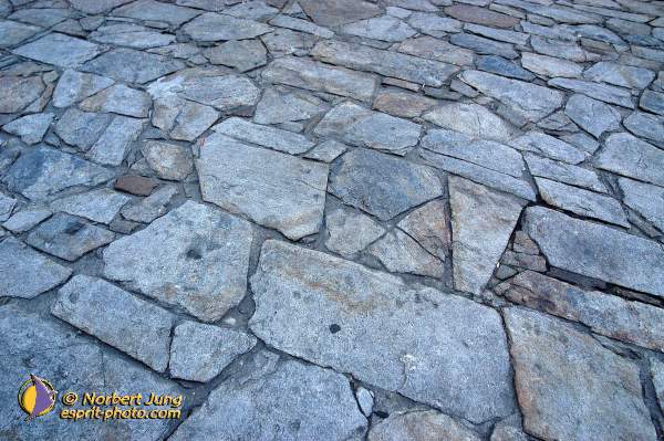 Nom de l'image : D1156702-01 — Description :