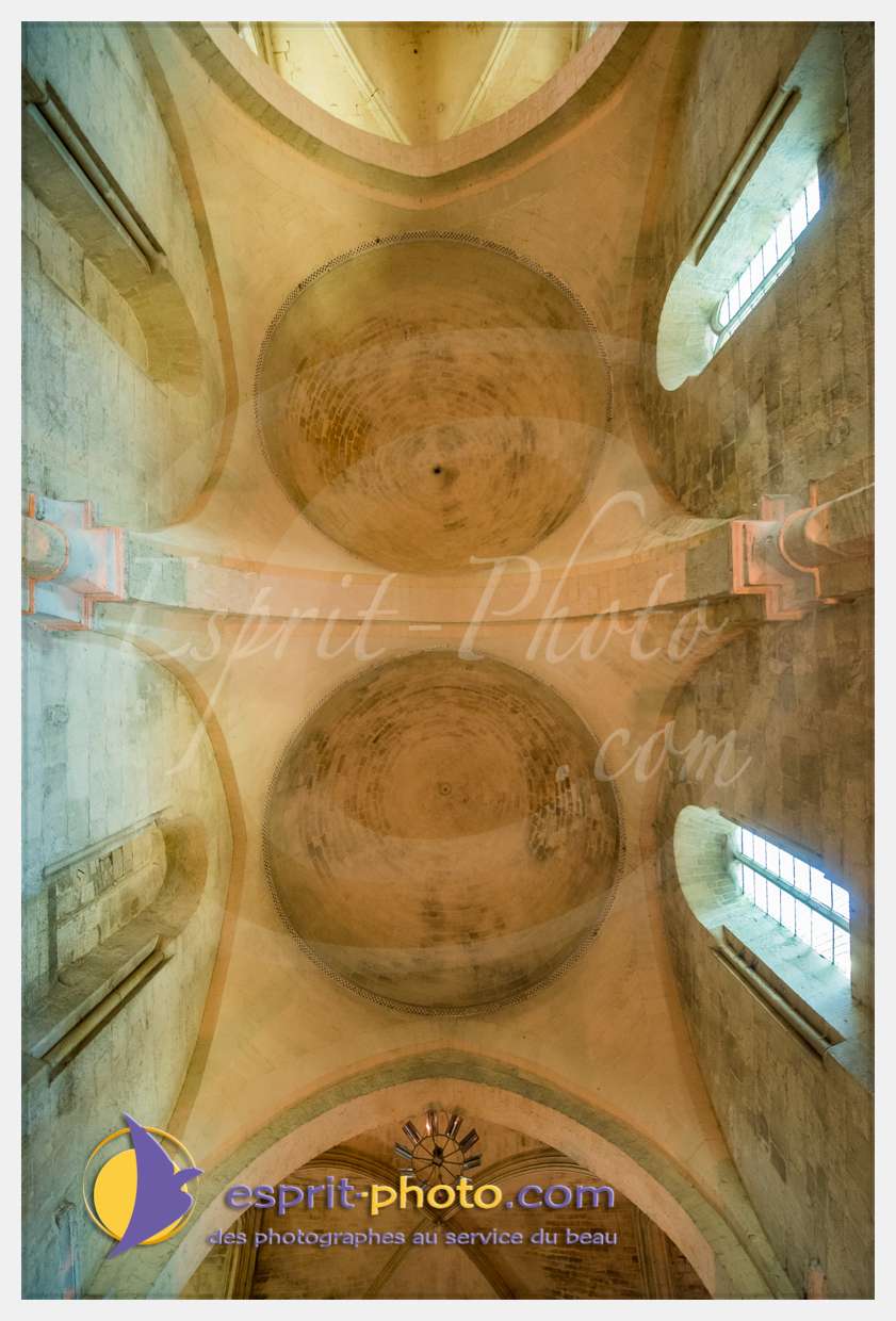 Nom de l'image : 20170513-190658_D8e118375_(c)esprit-photo.com — Description :