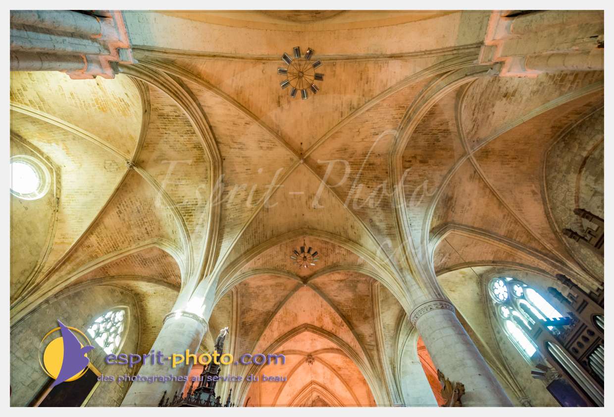 Nom de l'image : 20170513-190712_D8e118376_(c)esprit-photo.com — Description :