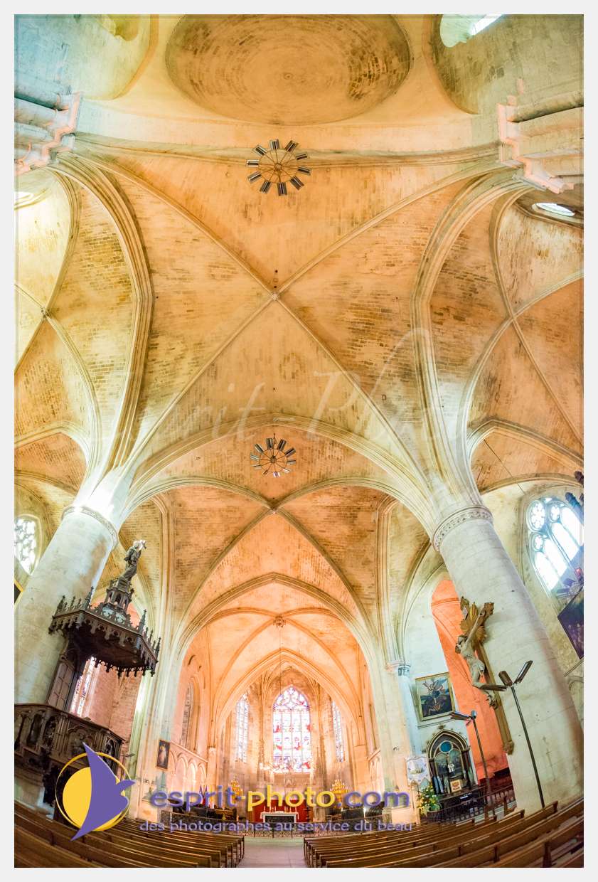 Nom de l'image : 20170513-190758_D8e118378_(c)esprit-photo.com — Description :