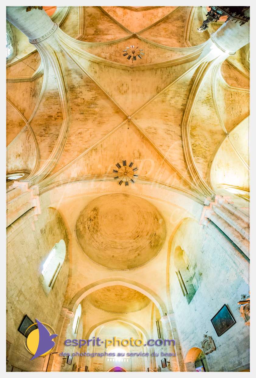 Nom de l'image : 20170513-190810_D8e118380_(c)esprit-photo.com — Description :