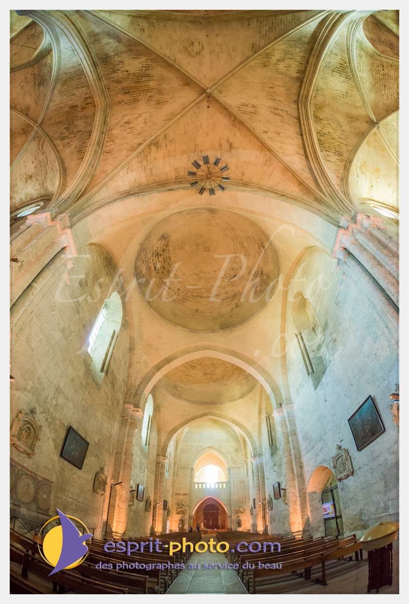 Nom de l'image : 20170513-190818_D8e118382_(c)esprit-photo.com — Description :