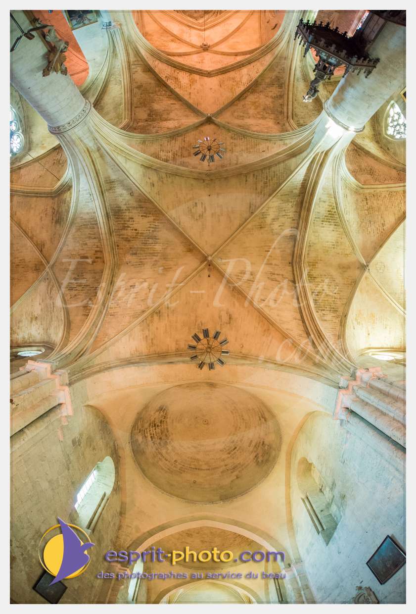 Nom de l'image : 20170513-190822_D8e118383_(c)esprit-photo.com — Description :